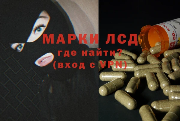 ешки Арсеньев