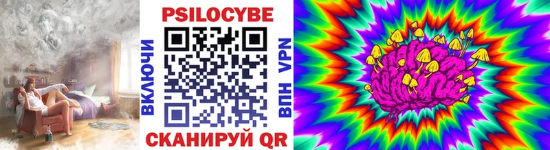 сколько стоит  Валдай  Галлюциногенные грибы Psilocybe 